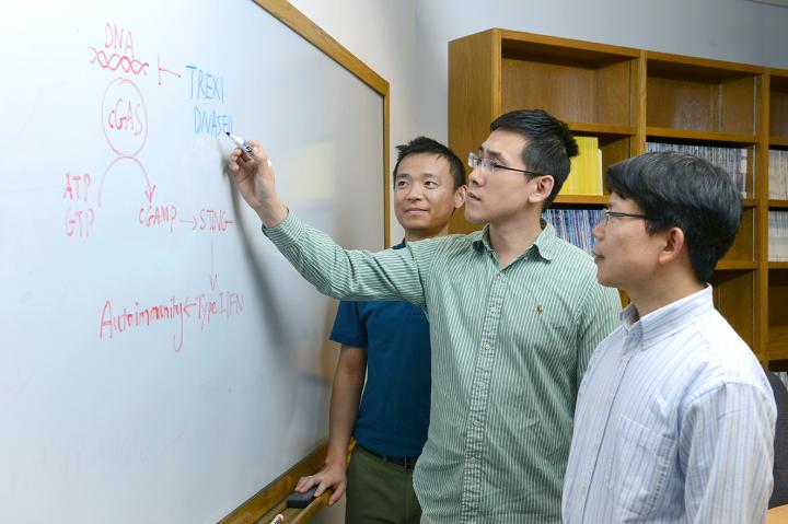 UT Southwestern Researchers Identify an Enzyme as a Major Culprit of Autoimmune Diseases