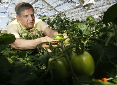 Avtar Handa, Purdue University