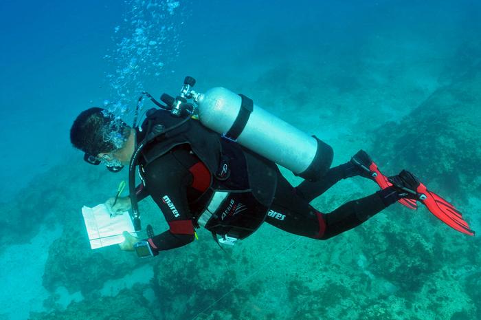 Fish survey at Kas, Turkiye