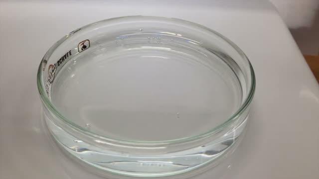 Motion of a Drop of Acetone on the Surface of Hot Water Due to the Generation of a Surface Tension G