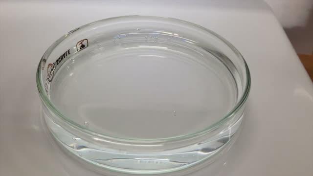 表面現象をより深く理解するために | EurekAlert!