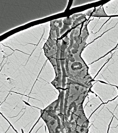 Electron Microscope Image of the Lafayette Meteorite (NHM Sample BM 1959, 755)