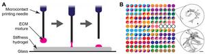 Figure demonstrating the matrix spot array system.