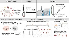 Advanced GC-MS Detection Enables Successful Metabolomics Analysis in Model Animals