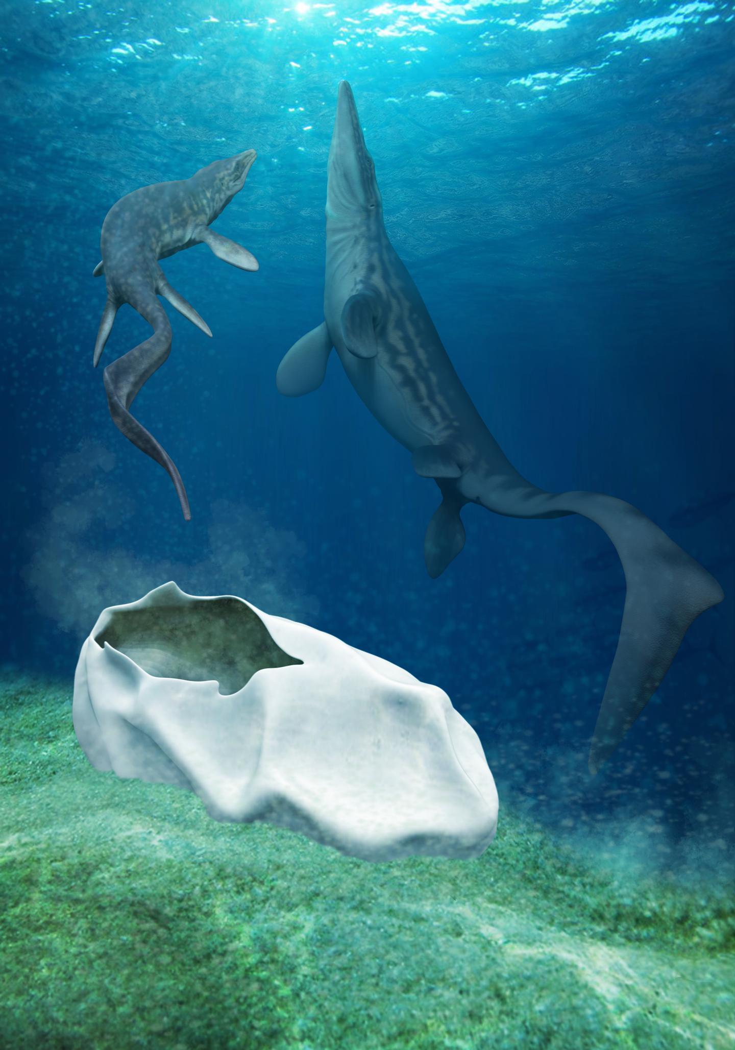 Artist's Interpretation of Mosasaur Baby and Mother