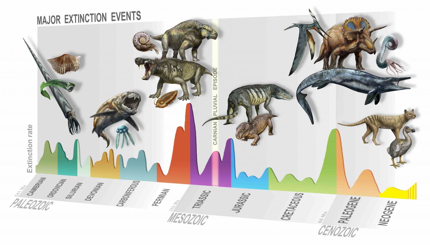 Major Extinction Events