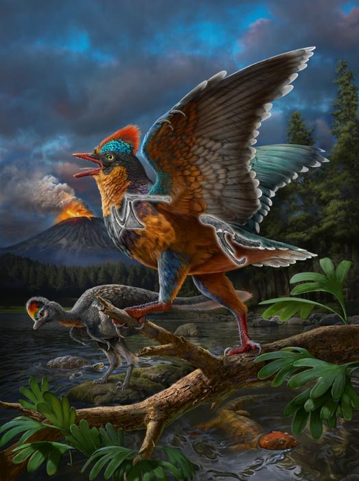 Life reconstruction of the Jurassic bird Baminornis zhenghensis from the Zhenghe Fauna