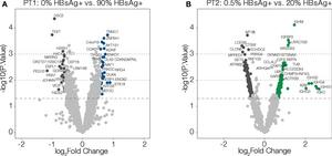 Minimal transcriptional differences between high and low areas of HBV surface antigen (HBsAg) expression.