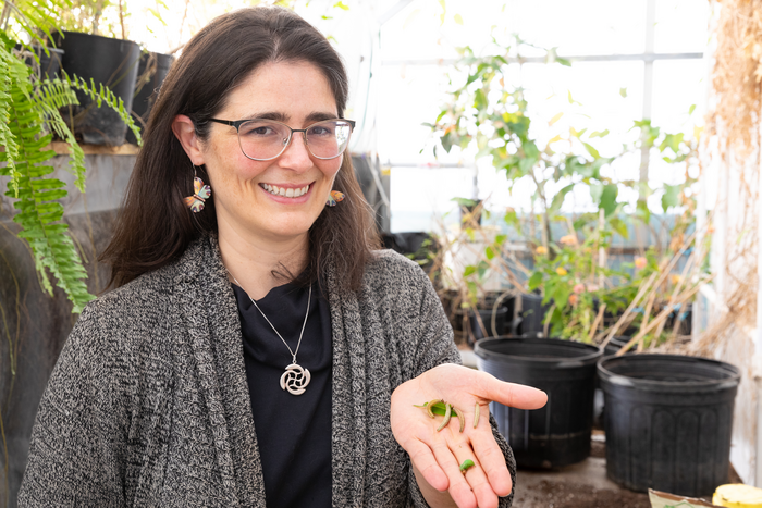 Erica Westerman's Butterfly Lab