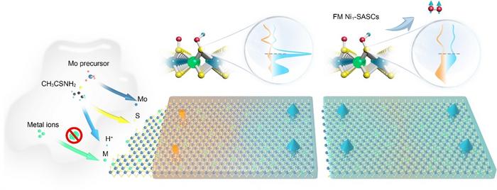 Ferromagnetic single-atom spin catalyst for boosting water splitting reactions