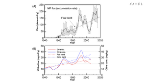 Time histories of microplastics and chlorophyll-a in the sediments