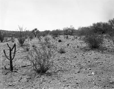 Repeat Photography, Tumamoc Hill, 1958