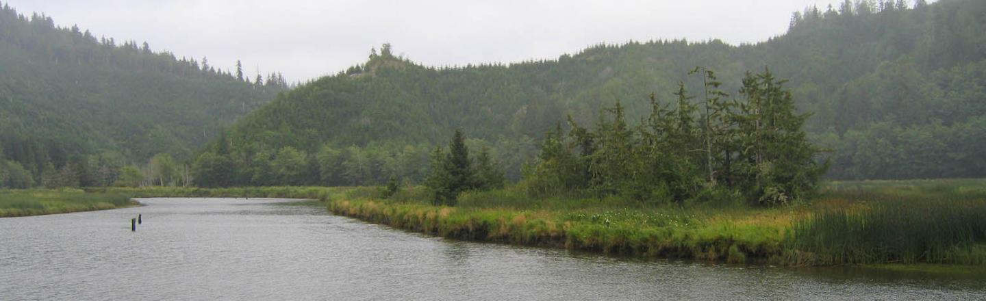 Siuslaw River Estuary