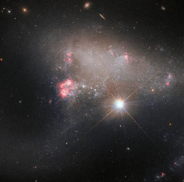 Hubble Images a Starstruck Galaxy