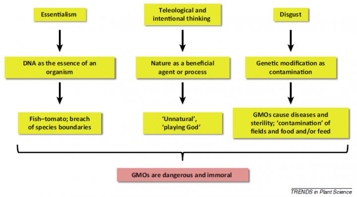 Negative Representations of GMOs