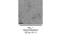 Figure 2. Ab+nanodepletor_s (002)