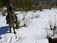 Researcher on horseback following footprints in the snow