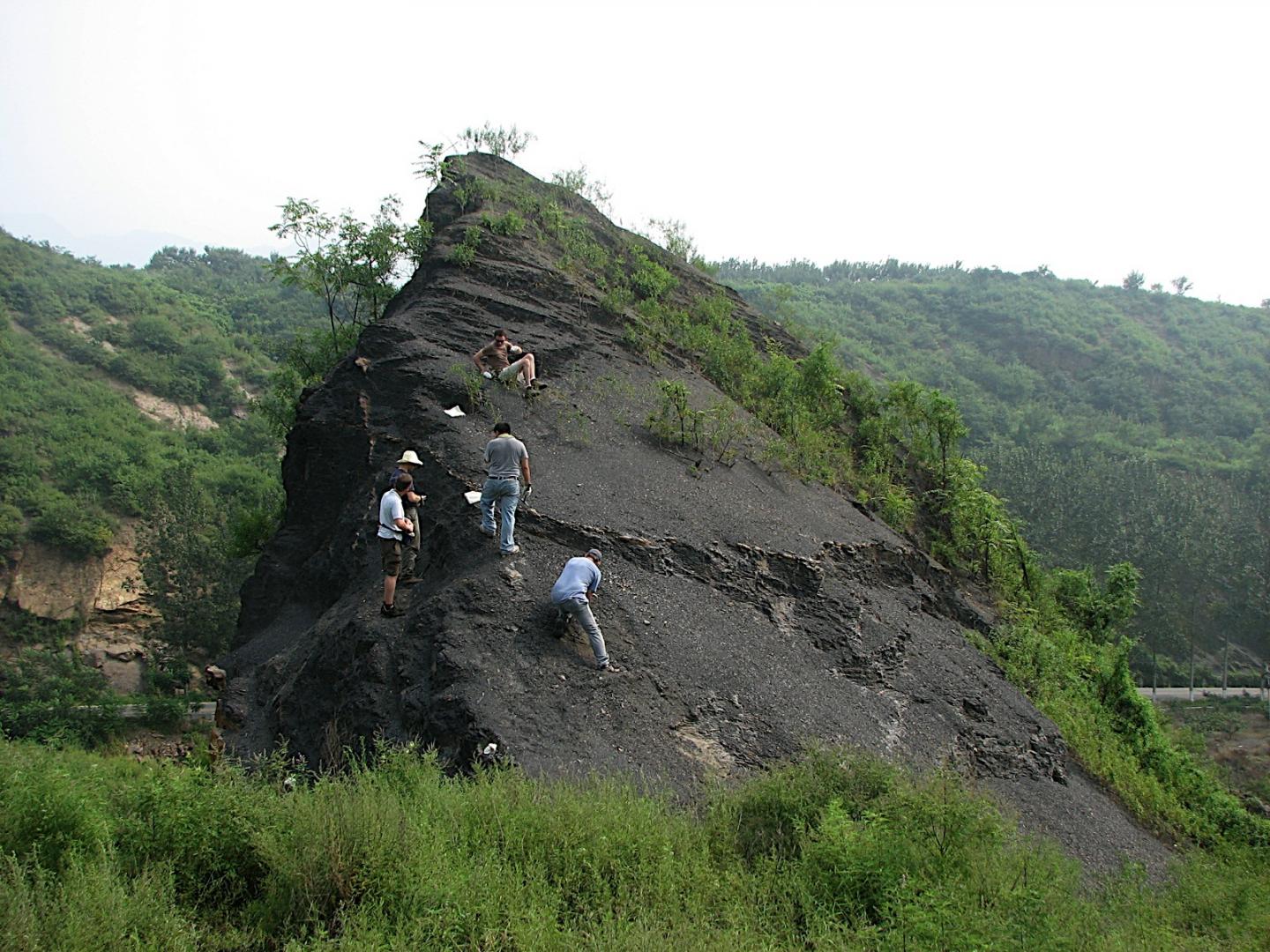 Field Collection of Ancient Seafloor in the Field