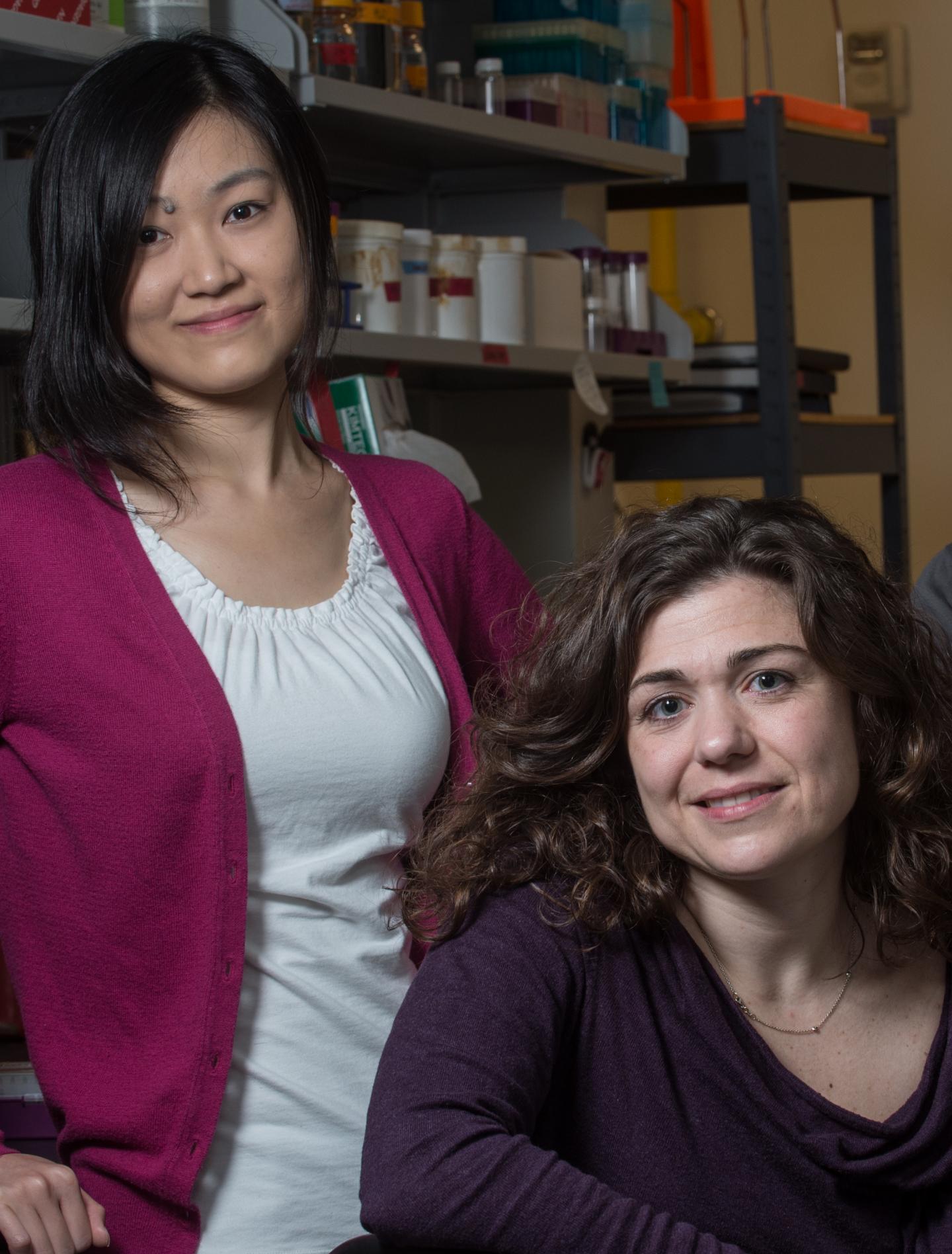 Wenting Zhao and Laura Segatori, Rice University