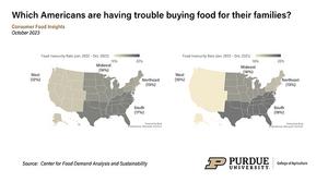 U.S. food insecurity