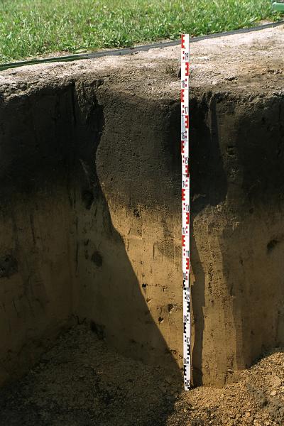 Soil Profile