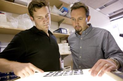 David Shackelford and Reuben Shaw, Salk Institute