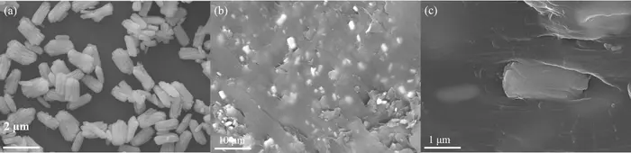 Micron Plate Sm2O3 Composites Enhance Neutron and Gamma Radiation Protection