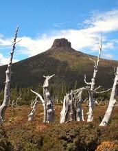 Mount Pelion East, Tasmania