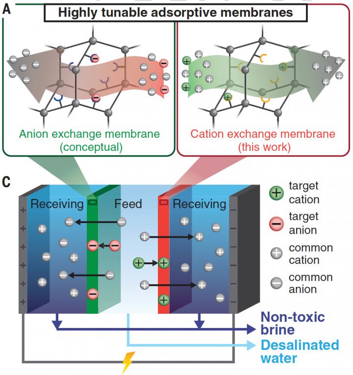 Desalination using highly tunable absorptive membranes