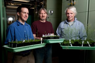 Durrett, Pollard, Ohlrogge, Michigan State University