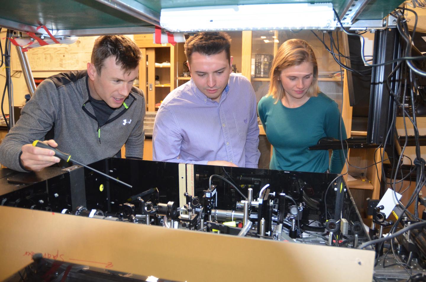 Single-cell carbon nanotubes