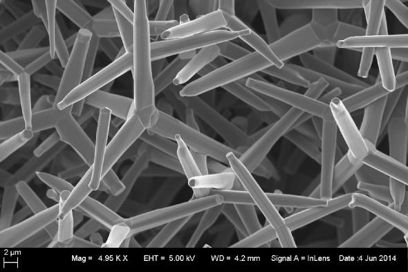 Zinc Oxide Nanoparticles