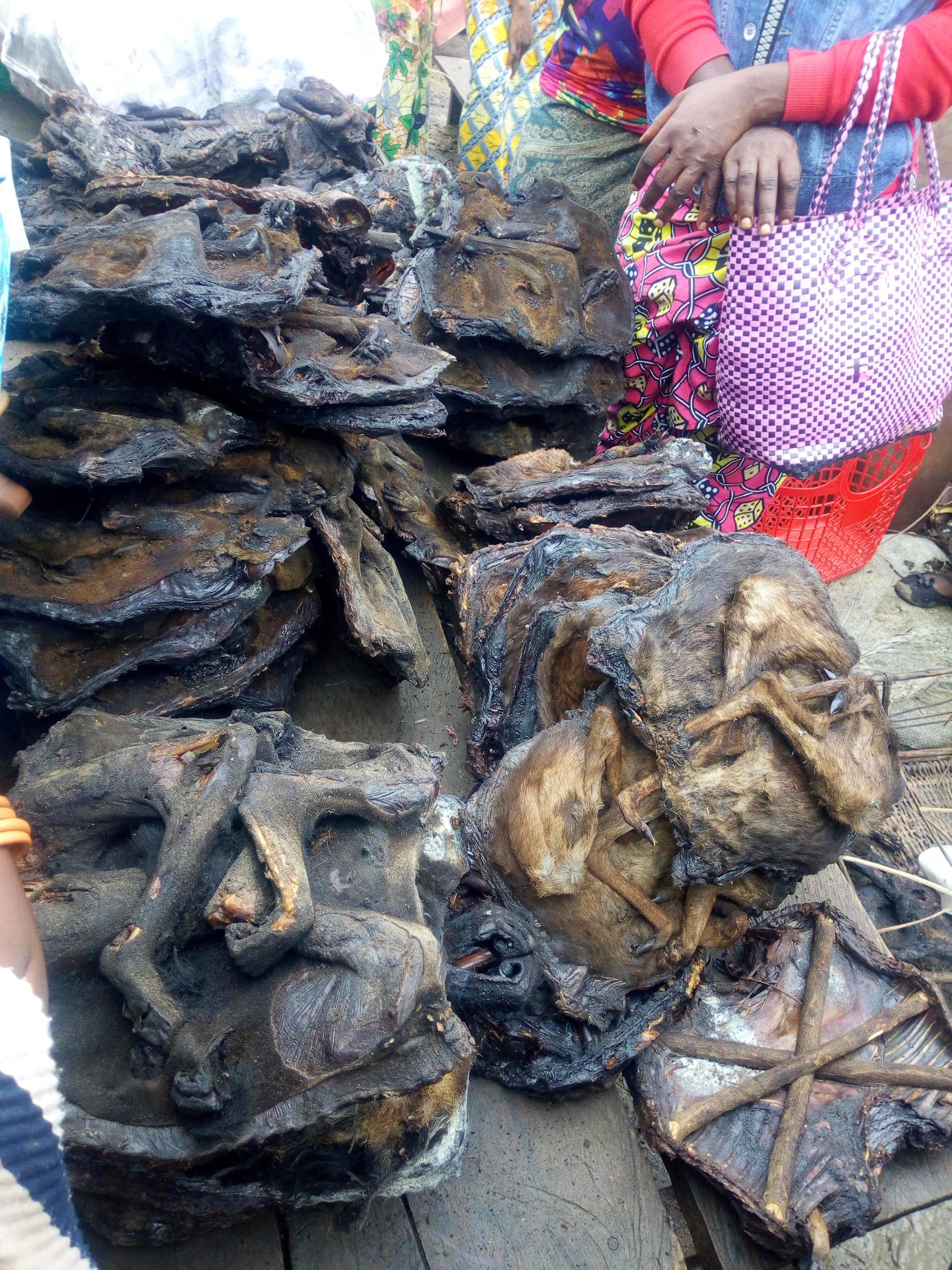 Bushmeat