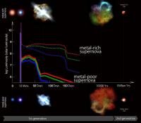 Evolution of Supernovae 