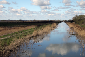 River in the Cambridgeshire Fens