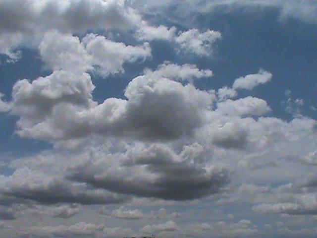 Cumulus Clouds