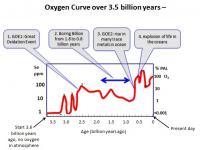 Oxygen Abundance over Time