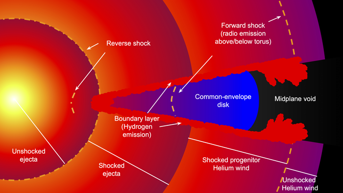 Schematic of Supernova 2014C