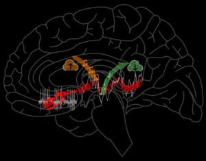 Seamlessly multiplexing memory storage and recall