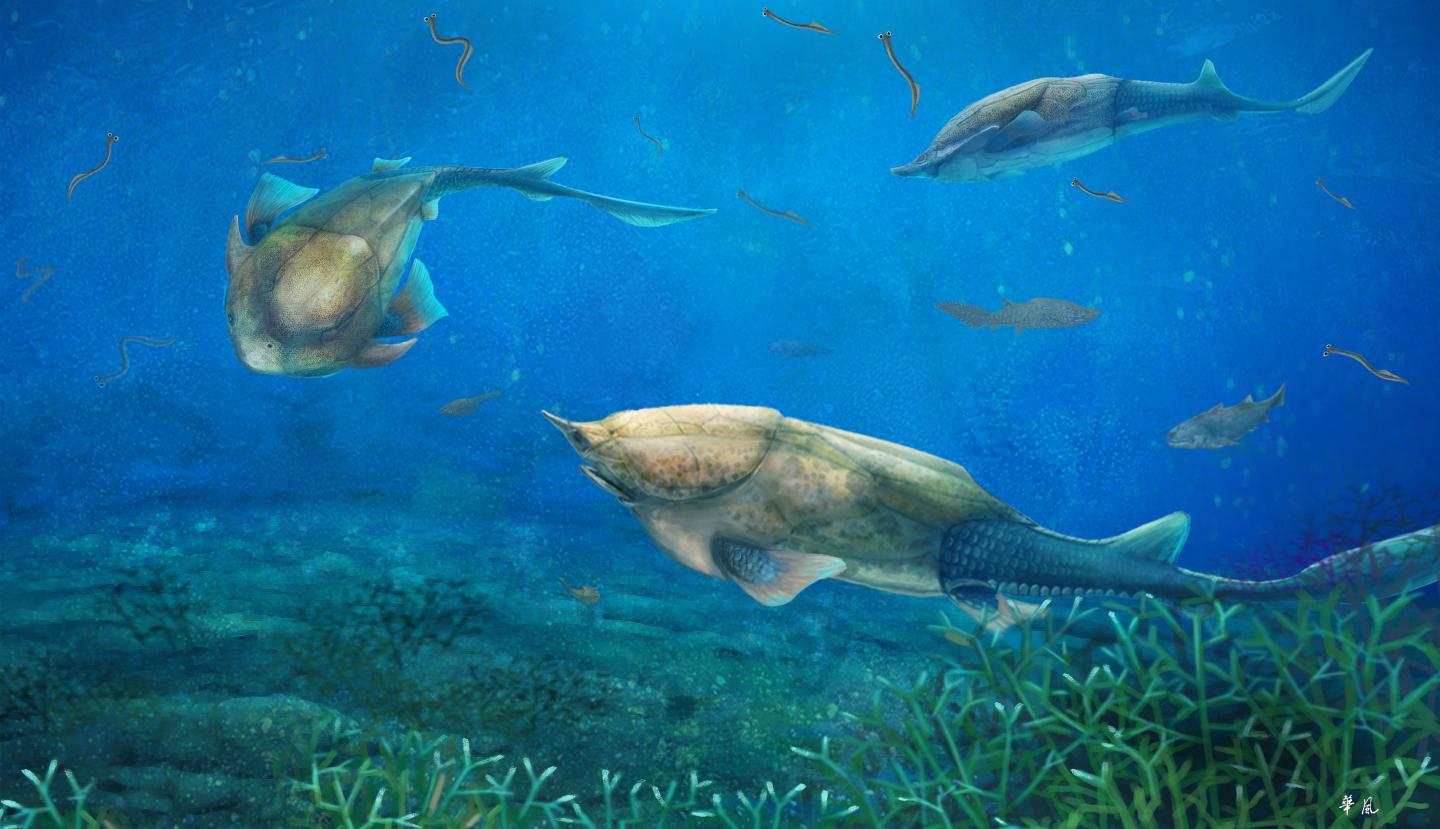 Life Reconstruction of <i>Qilinyu</i> (2 of 2)
