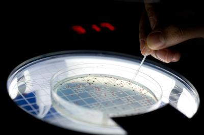 Paleo-Experimental Evolution 