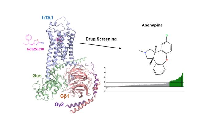 How drugs can bind to the TAAR1 receptor