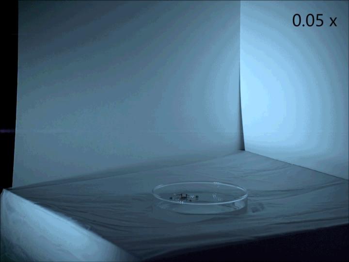 Take Off Landing Gif