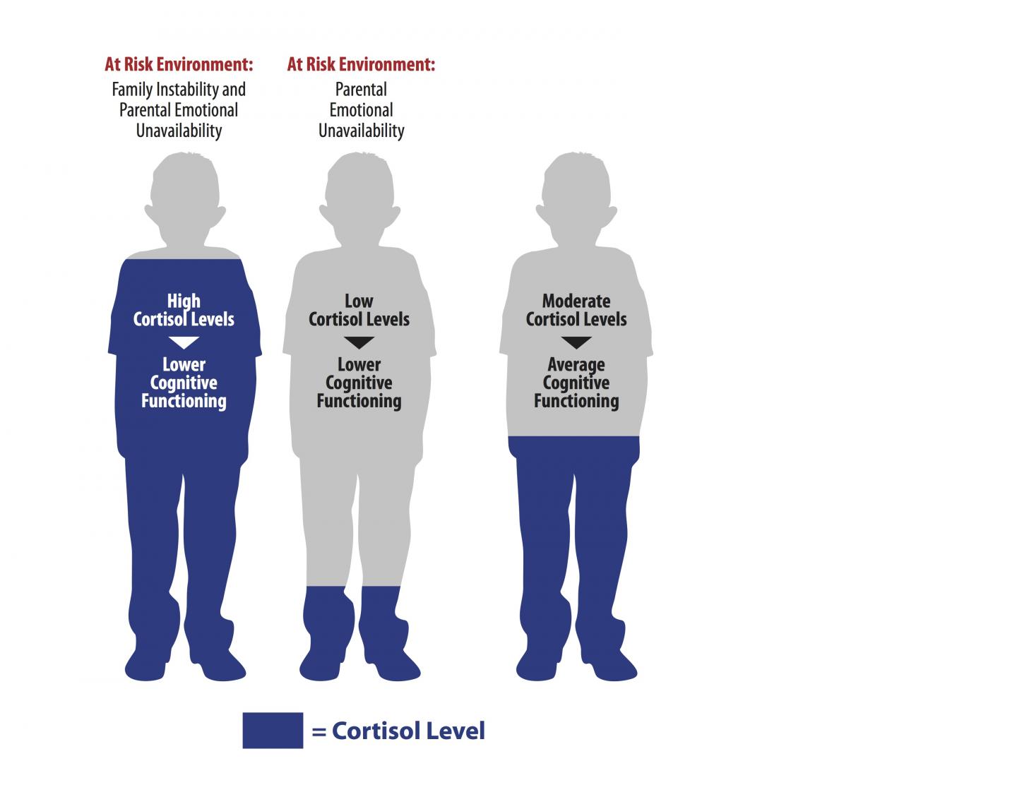 Cortisol and Cognitive Functioning