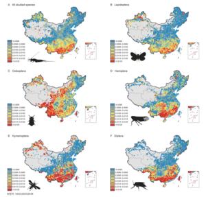 Spatial distribution of genetic diversity of Chinese insect species