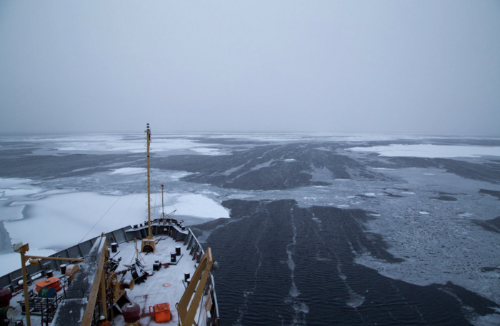 Arctic Ocean ice