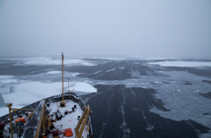 Arctic Ocean ice