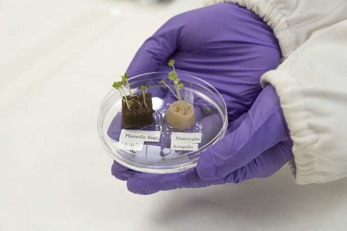 Hair finds new roots as urban farming growth medium