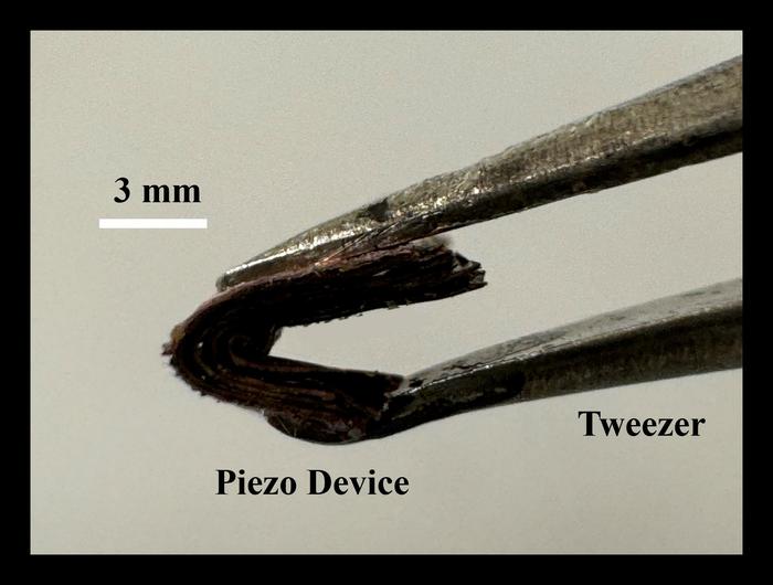 nanogenerator