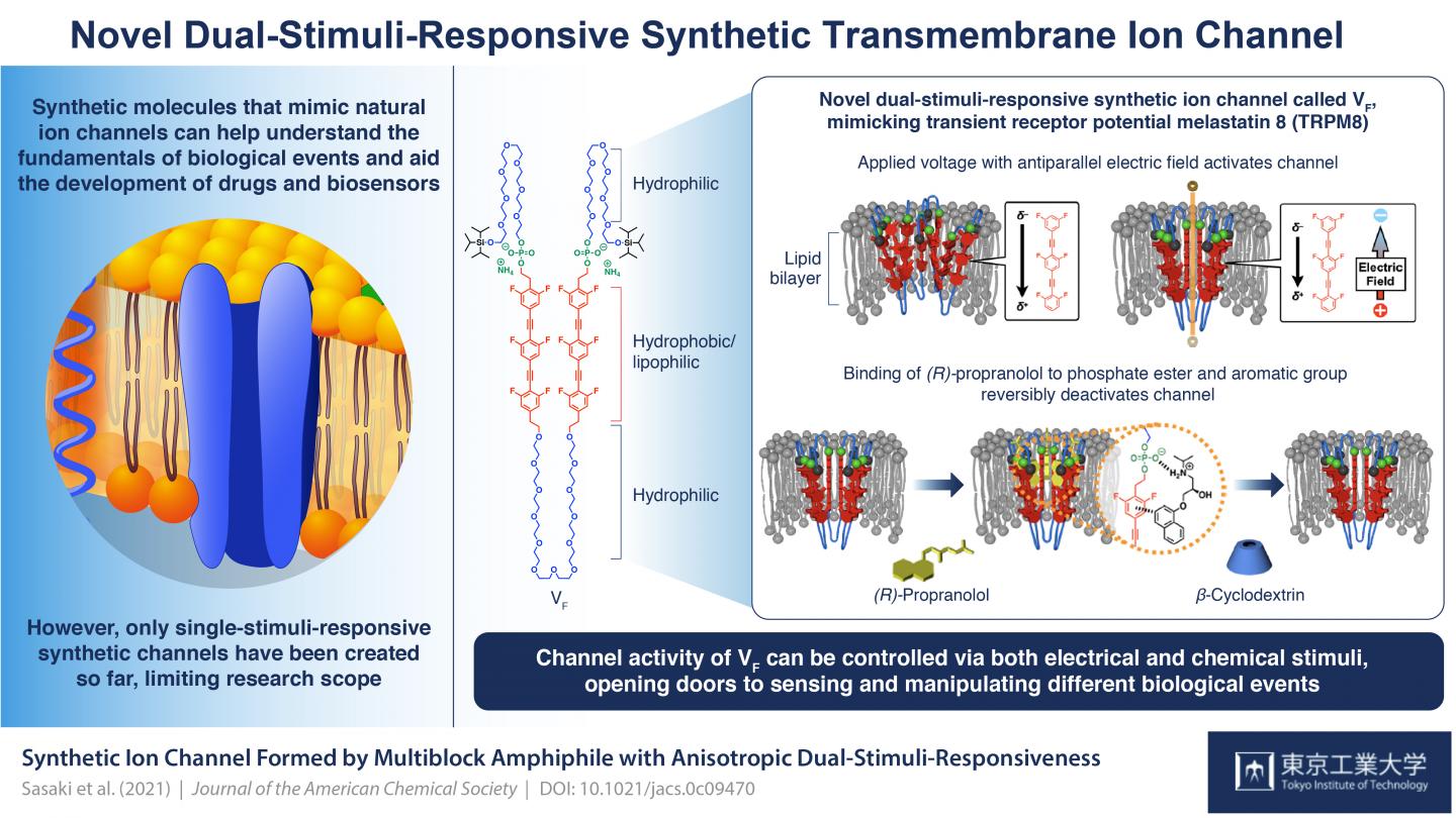 Figure 1 Schematic illustration of the anisotrophic dual stimuli-responsive ion channel